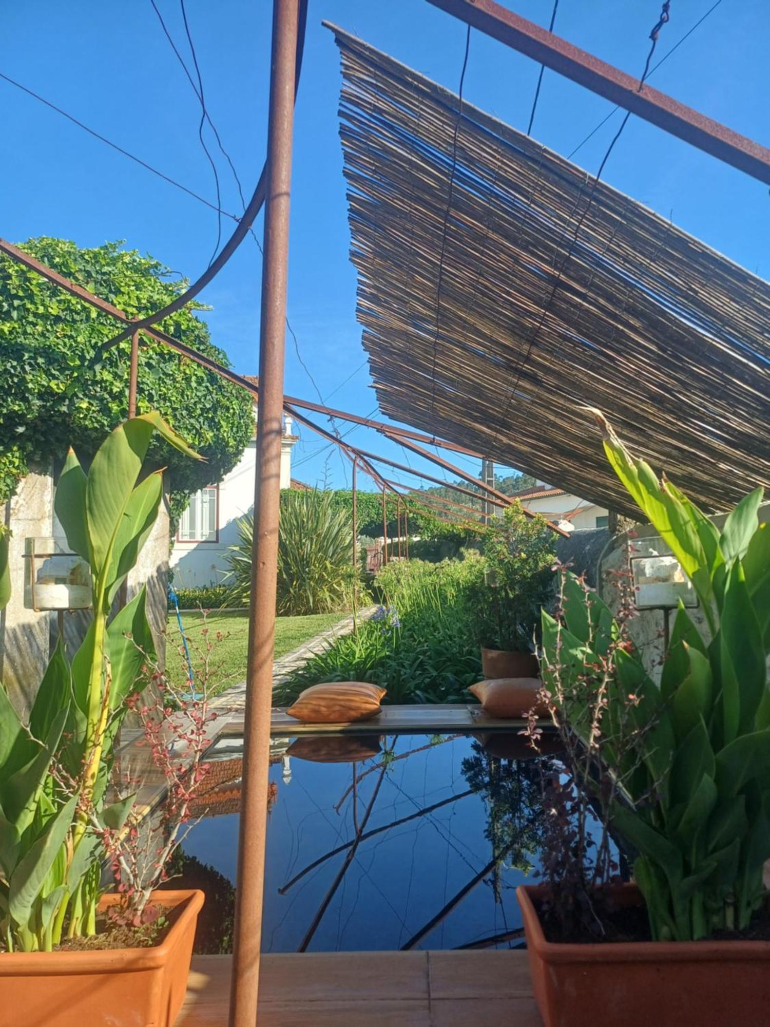 לאוסה Vila Delfina מראה חיצוני תמונה